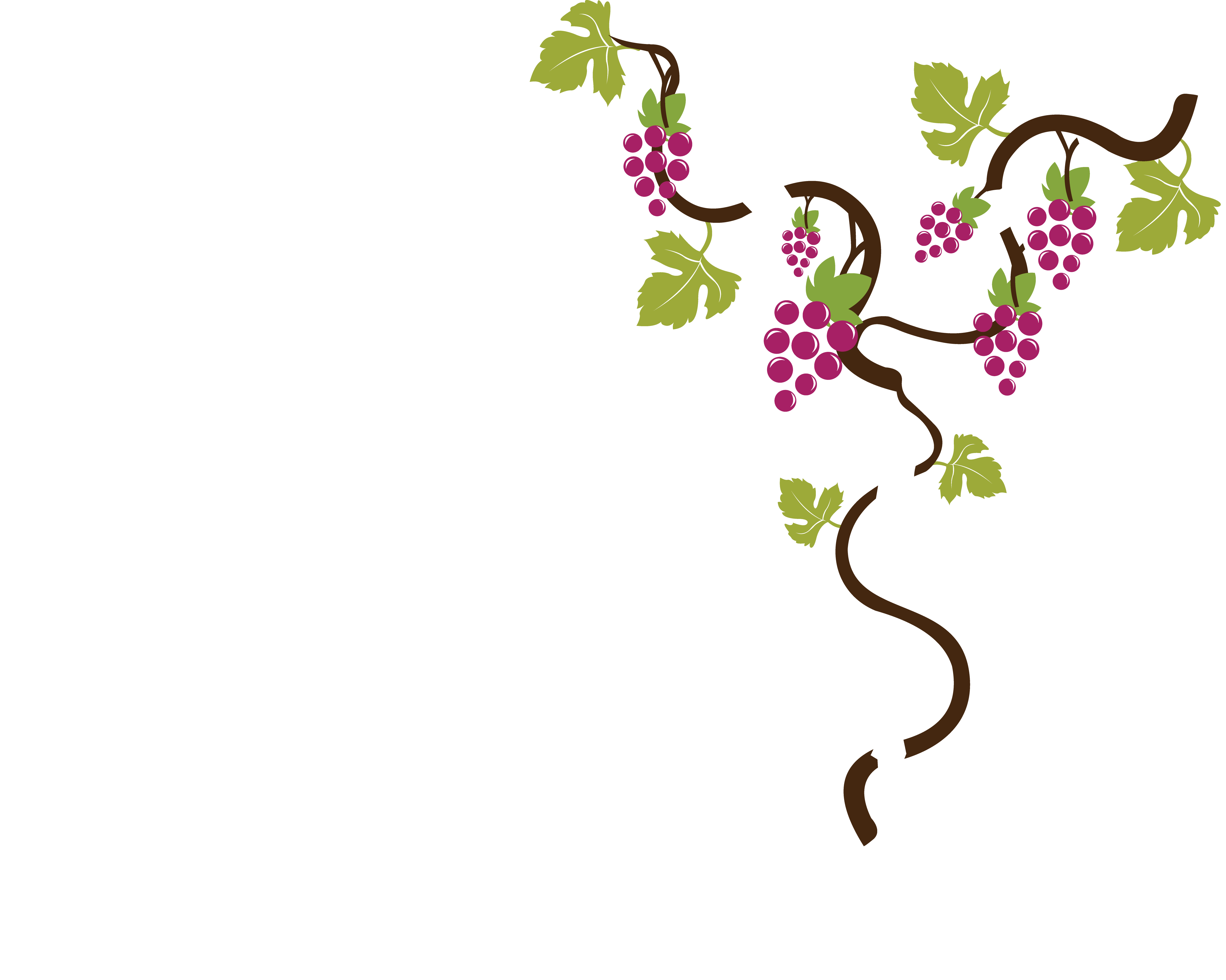 RakiYa Travel | Global Reach. Local Expertise.